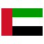 UAE flag